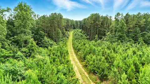 Other - 0 W Hollow Rd, Goodspring, TN 38460 photo 23 of 62
