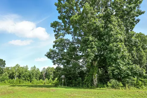 Exterior - 0 W Hollow Rd, Goodspring, TN 38460 photo 13 of 15