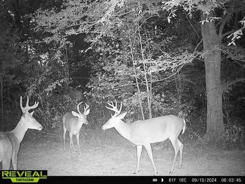 Other - 0 W Hollow Rd, Goodspring, TN 38460 photo 47 of 62