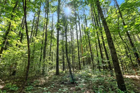 Other - 0 W Hollow Rd, Goodspring, TN 38460 photo 14 of 62