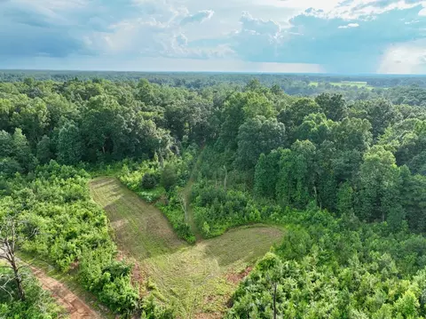 View/Area - 0 W Hollow Rd, Goodspring, TN 38460 photo 11 of 21