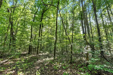 Exterior - 0 W Hollow Rd, Goodspring, TN 38460 photo 11 of 15