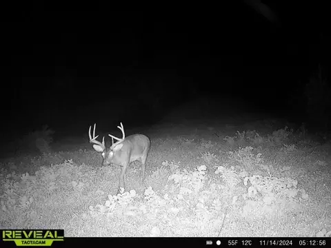 Other - 0 W Hollow Rd, Goodspring, TN 38460 photo 42 of 62