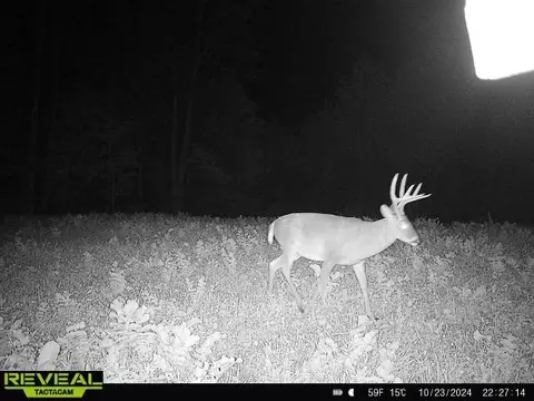 Other - 0 W Hollow Rd, Goodspring, TN 38460 photo 52 of 62