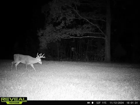 Other - 0 W Hollow Rd, Goodspring, TN 38460 photo 54 of 62