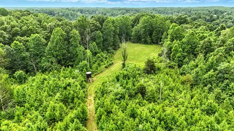 Other - 0 W Hollow Rd, Goodspring, TN 38460 photo 18 of 62