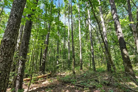 Other - 0 W Hollow Rd, Goodspring, TN 38460 photo 26 of 62