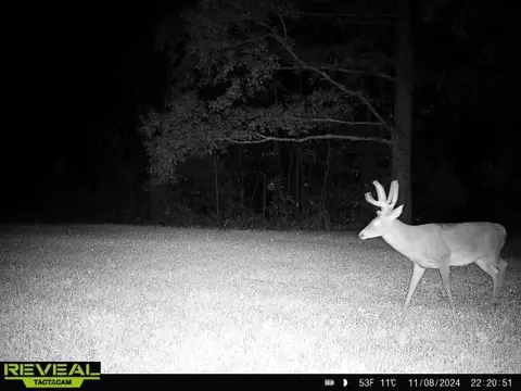 Other - 0 W Hollow Rd, Goodspring, TN 38460 photo 45 of 62