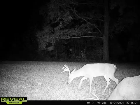 Other - 0 W Hollow Rd, Goodspring, TN 38460 photo 53 of 62