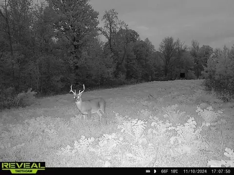 Other - 0 W Hollow Rd, Goodspring, TN 38460 photo 61 of 62