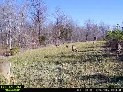 Other - 0 W Hollow Rd, Goodspring, TN 38460 photo 49 of 62