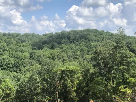 1096 Paiute Trl, Pegram, TN 37143