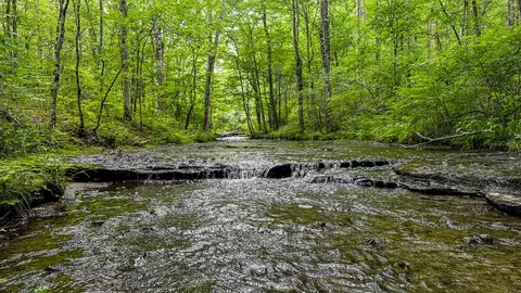 0 Catheys Creek Rd, Hampshire, TN 38461