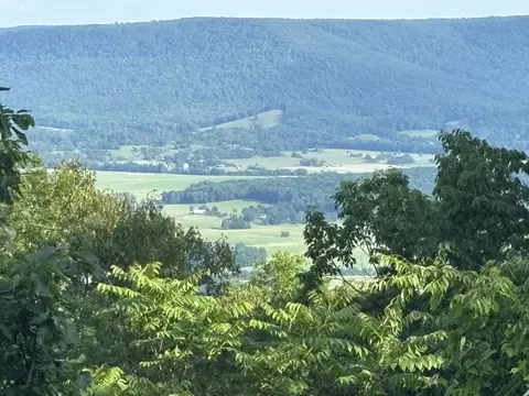 1355 Gray Rock Vw, Pikeville, TN 37367