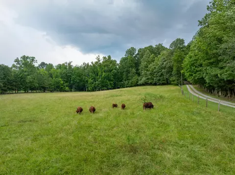 Other - 1261 S Cedar Ln, Chickamauga, GA 30707 photo 15 of 16
