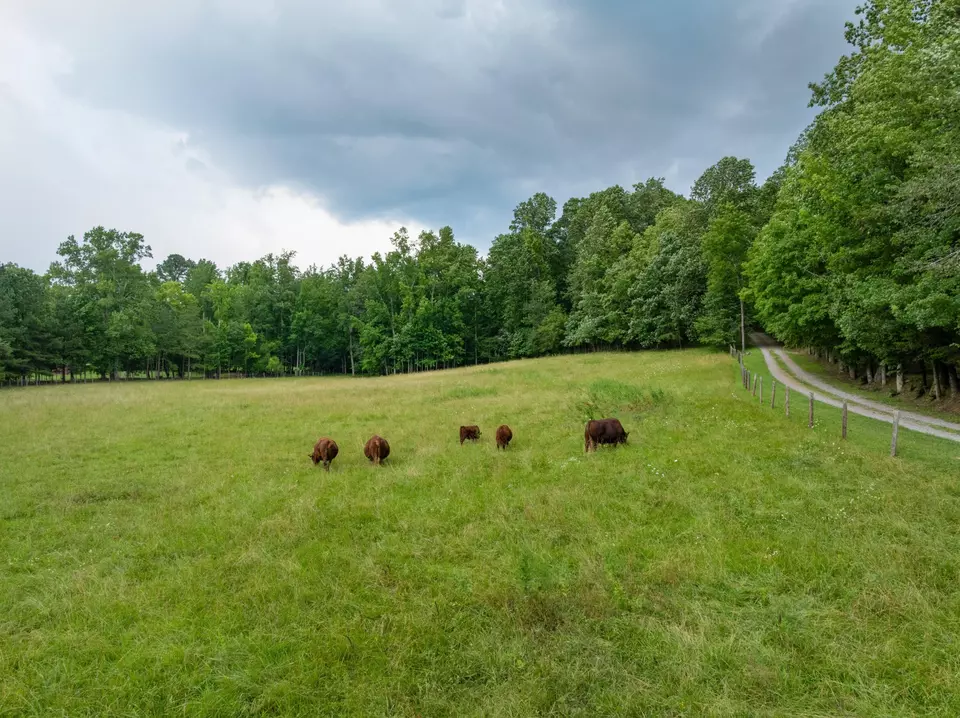 Other - 1261 S Cedar Ln, Chickamauga, GA 30707 photo 15 of 16
