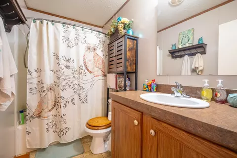 150 Princess Ct, Loretto, TN 38469 photo 33
