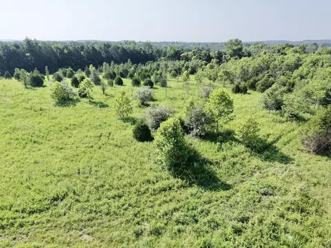 1 Bristol Dr, Lascassas, TN 37085