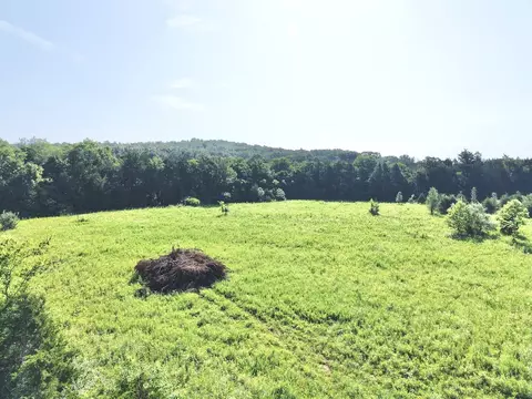 2 Bristol Dr, Lascassas, TN 37085