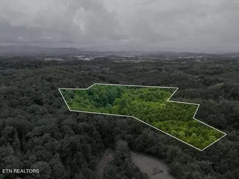 0 Witt Hollow Rd, Sevierville, TN 37876