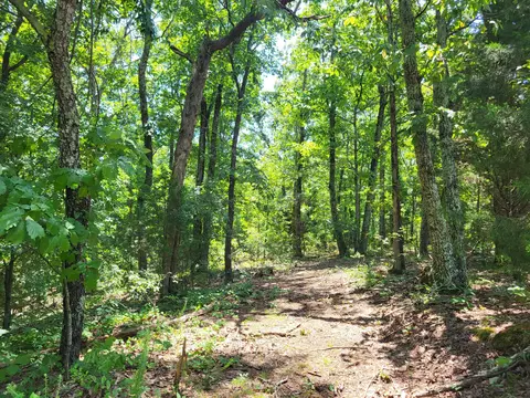 9 Birdsong Rd, Holladay, TN 38341