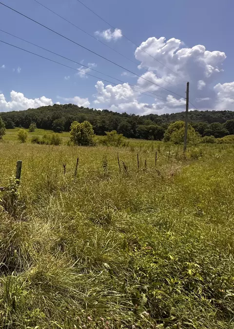 167 Bradford Rd # A, Fayetteville, TN 37334