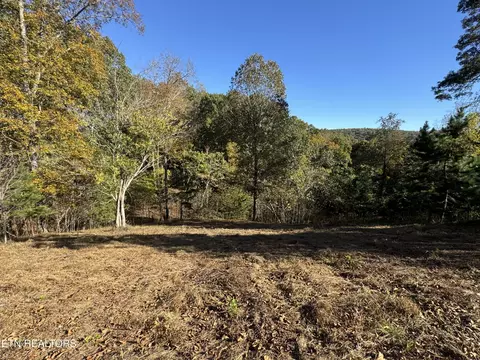 3 Button Buck Ln, La Follette, TN 37766