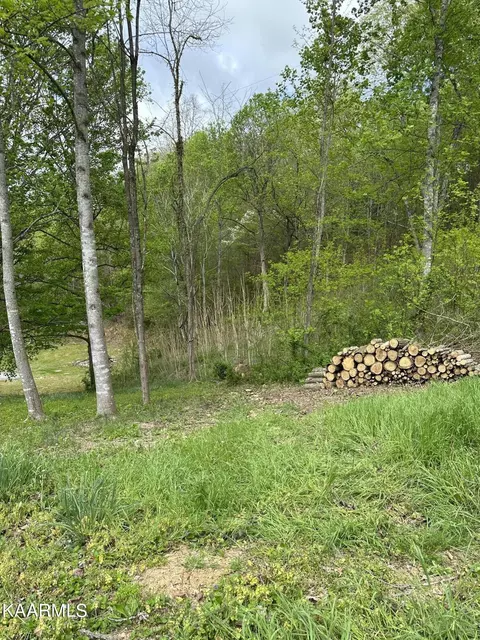 5 Flat Hollow Rd, Speedwell, TN 37870