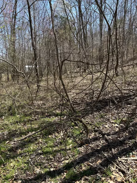 820 Lucas Rd, Dickson, TN 37055 photo 6