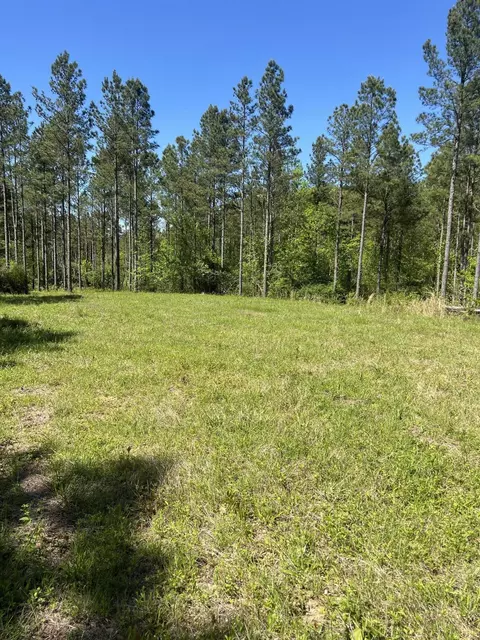 453 Johns Rd, Decatur, TN 37322