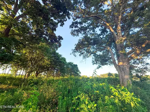 0 Lot 19 Summerset Dr, Talbott, TN 37877 photo 4