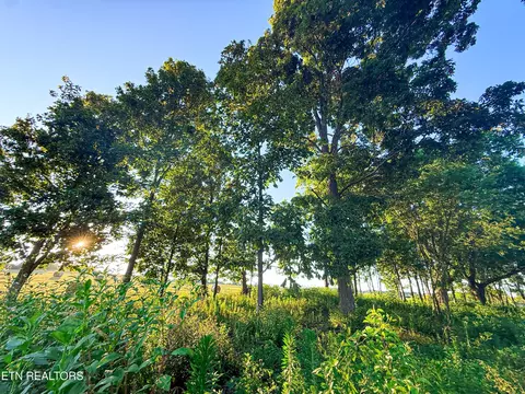0 Lot 19 Summerset Dr, Talbott, TN 37877 photo 3