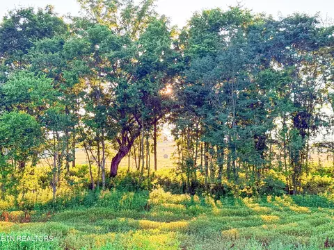 0 Lot 19 Summerset Dr, Talbott, TN 37877 photo 2