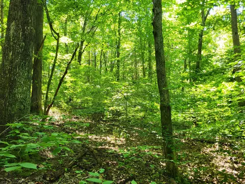 1 Indian Creek Rd, Dover, TN 37058