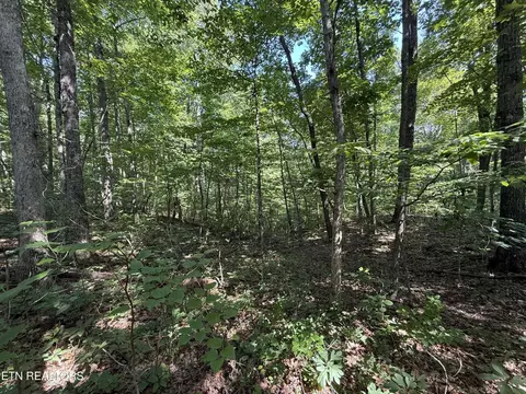 2 E Cove Rd, Monterey, TN 38574