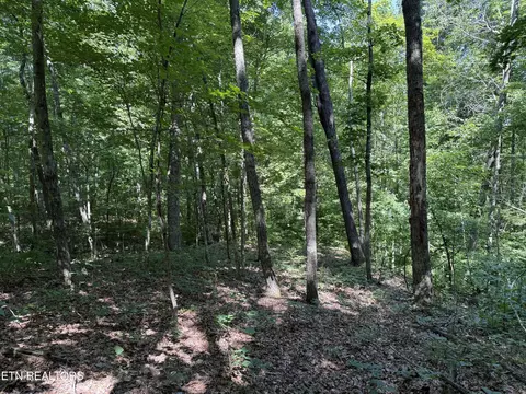 2 E Cove Rd, Monterey, TN 38574 photo 2