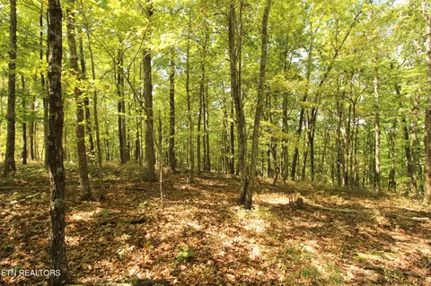323 Rotherham Dr, Crossville, TN 38558