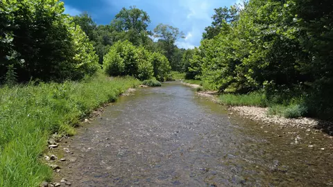 920 E Piney Rd, Dickson, TN 37055