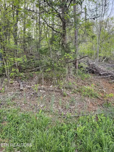 0 NE Walk In The Trees Dr, New Market, TN 37820