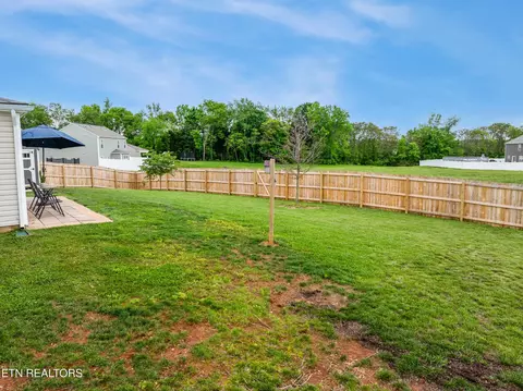1125 Janice Ln, Talbott, TN 37877 photo 35