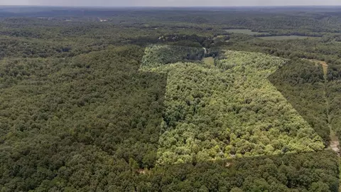 0 Copperhead Ln, Olivehill, TN 38475