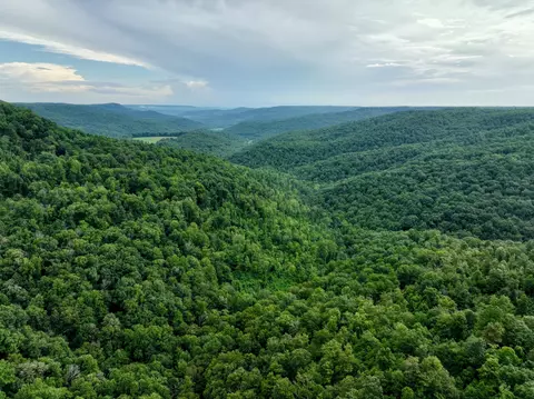 1 Calfkiller Hwy, Monterey, TN 38574