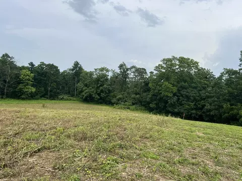 5 Annie Hollow Rd, Westmoreland, TN 37186