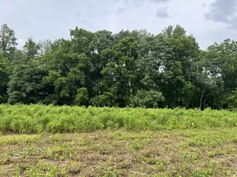 6 Annie Hollow Rd, Westmoreland, TN 37186