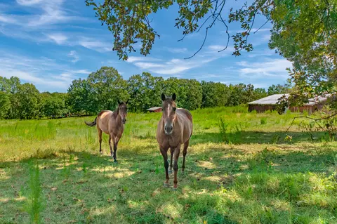 1611 Chisholm Rd, Cypress Inn, TN 38452