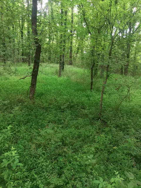 468 Adams Rd, Ardmore, TN 38449