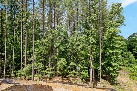 4545 Split Rail Way, Guild, TN 37340 photo 40