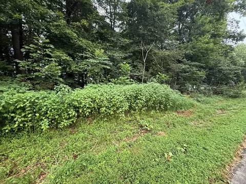 11 Pickett Ln, Jamestown, KY 42629