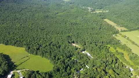 2421 Lower Cove Loop, Dayton, TN 37321 photo 5