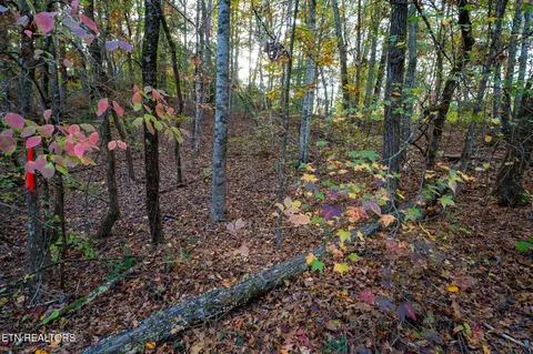 0 Lake Overlook Dr, Rockwood, TN 37854